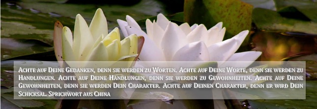 Achte-auf-Deine-Gedanken_Zitat