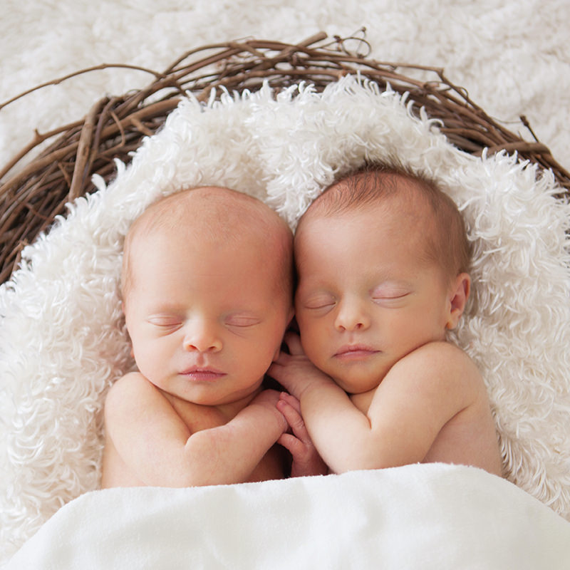 Newborn Babies Laying on Fluffy Blanket in Nest 1 Newborn Babies Laying on Fluffy Blanket in Nest 1