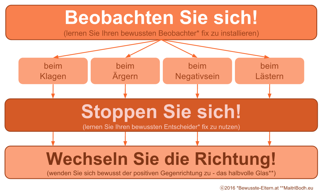 Bewusster Beobachter, Bewusster Entscheider, Bewusster Richtungswechsel von Bewusste-Eltern und Dadashreeji - MaitriBodh Parivaar