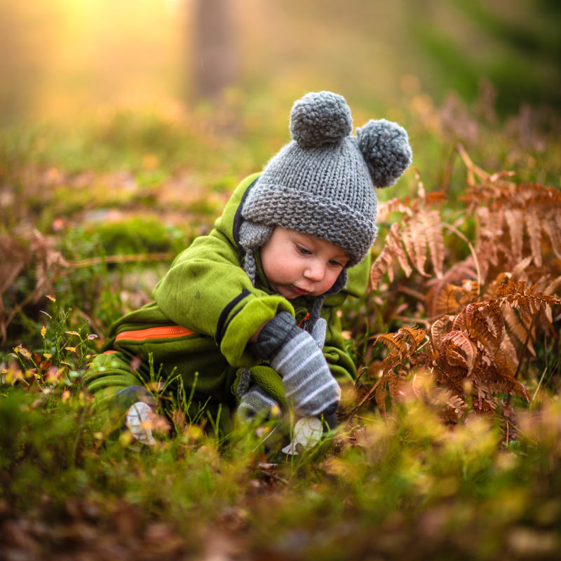 Baby Sitting in Field 1 Baby Sitting in Field 1